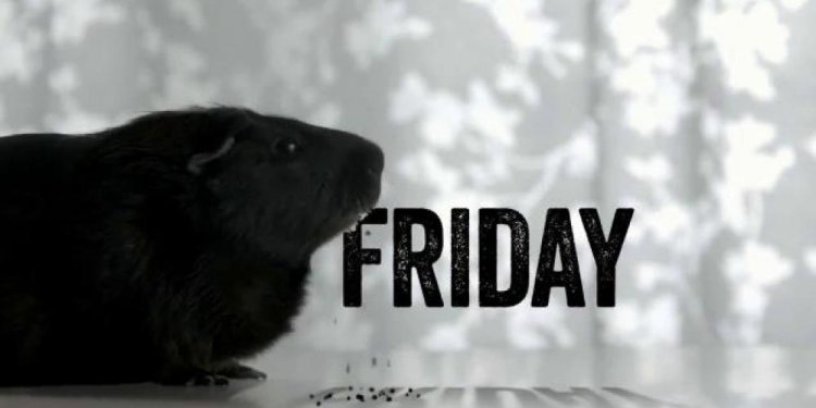 PetSmart Black Friday TV Spot