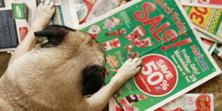 Put your paws up for this one!