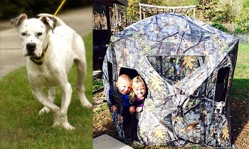 Animal Ark rescue Columbus