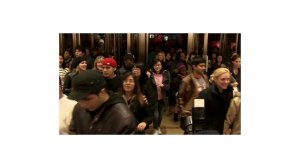 Black Friday survival guide