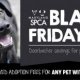 Black Friday Pet Adoption