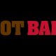 Boot Barn Black Friday Ad