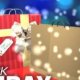 Dollar General Black Friday hours