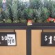 Thanksgiving Walmart deals