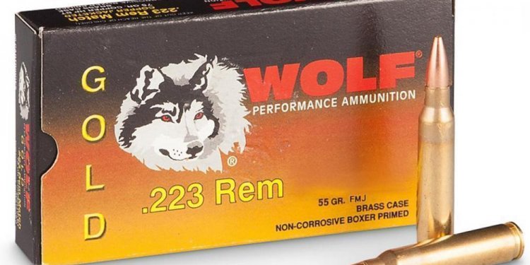 Black Friday Gun deals online