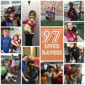 south Pines pet shelter adoptions