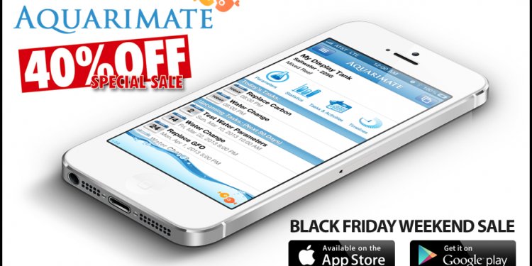 Black Friday Forum