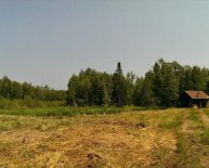 Black Friday at Menards