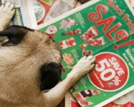 Black Friday deals at PetSmart