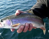 Black Friday Fishing