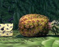 Black Friday night sales