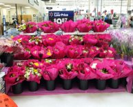 Black Friday Specials TV