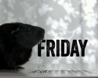 PetSmart hours Black Friday