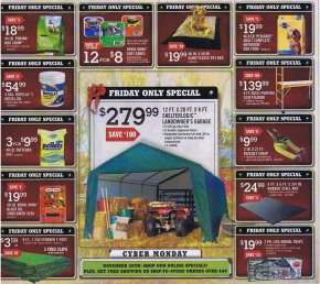 tractor supply Ebony Friday Ad web page 02